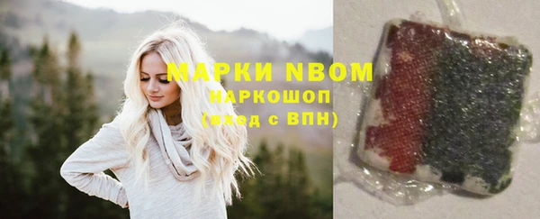молекула духа Семилуки