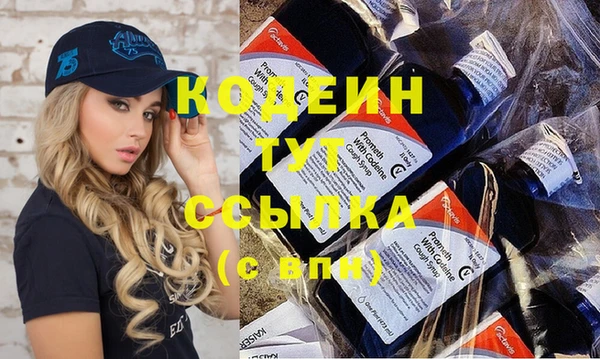 молекула духа Семилуки