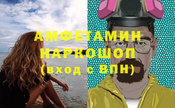 молекула духа Семилуки