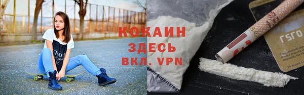 молекула духа Семилуки