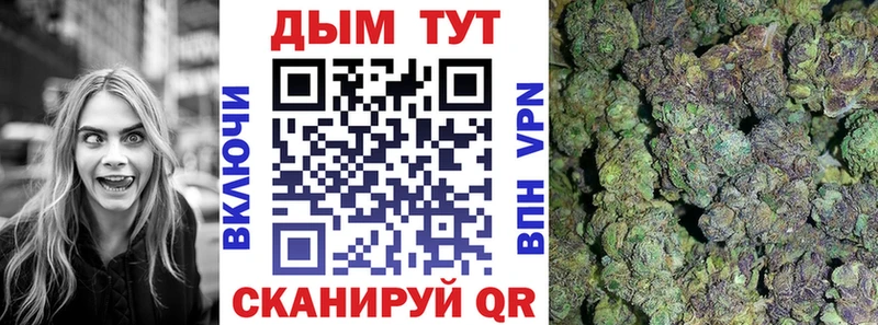 Купить где  Катайск  Бошки Шишки индика 